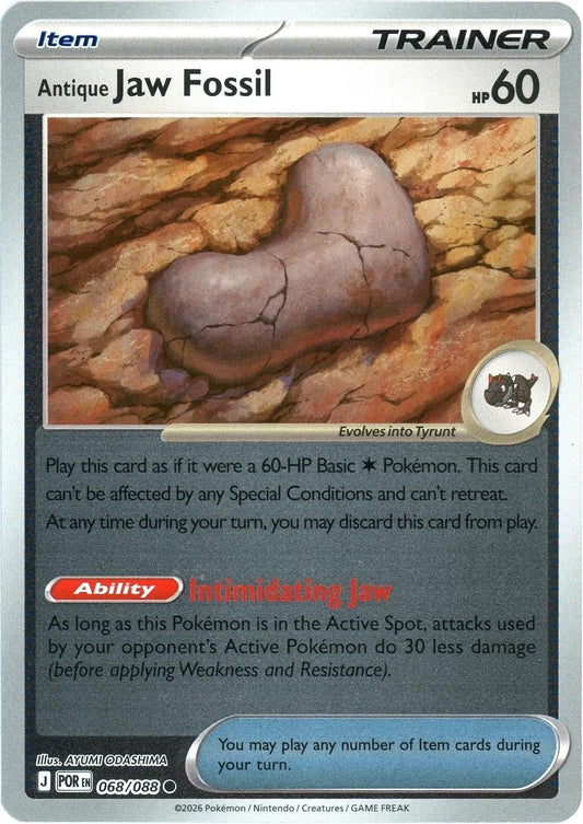 Antique Jaw Fossil