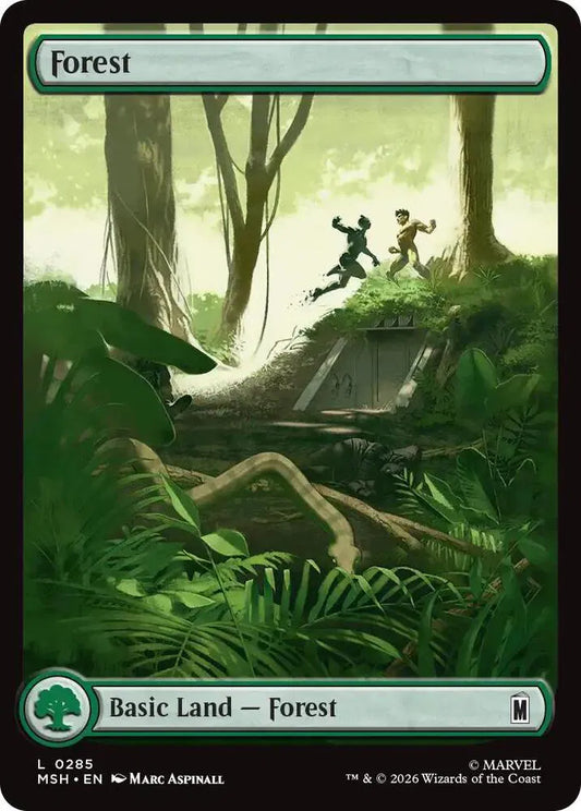 Forest