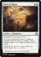 Bark of Doran (ECL-006) - Lorwyn Eclipsed