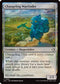 Changeling Wayfinder (ECL-001) - Lorwyn Eclipsed