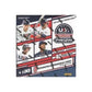 2025 Panini USA Stars & Stripes Prizm Baseball Mega Box