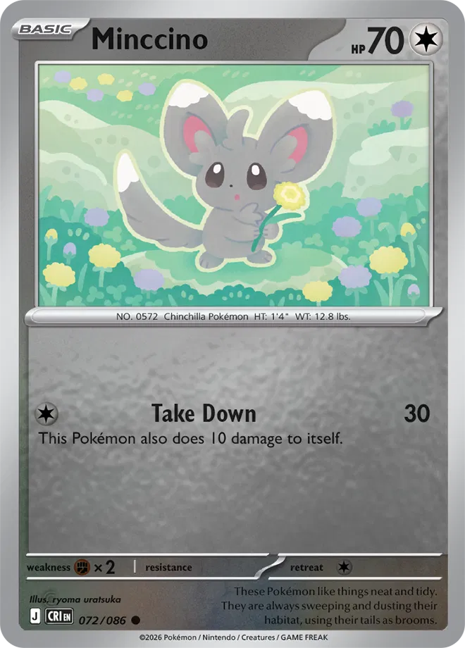 Minccino